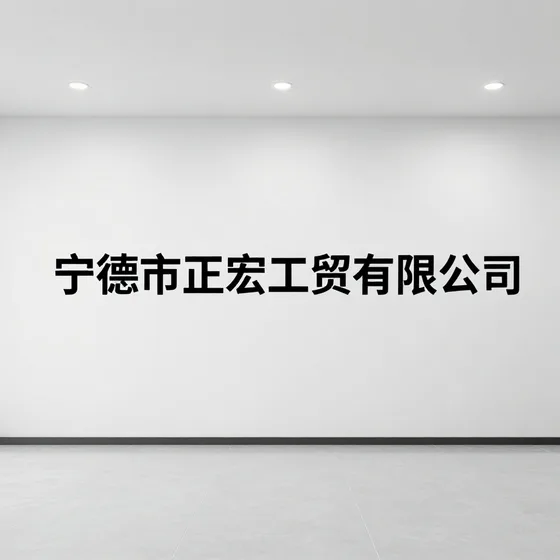 宁德市正宏工贸有限公司